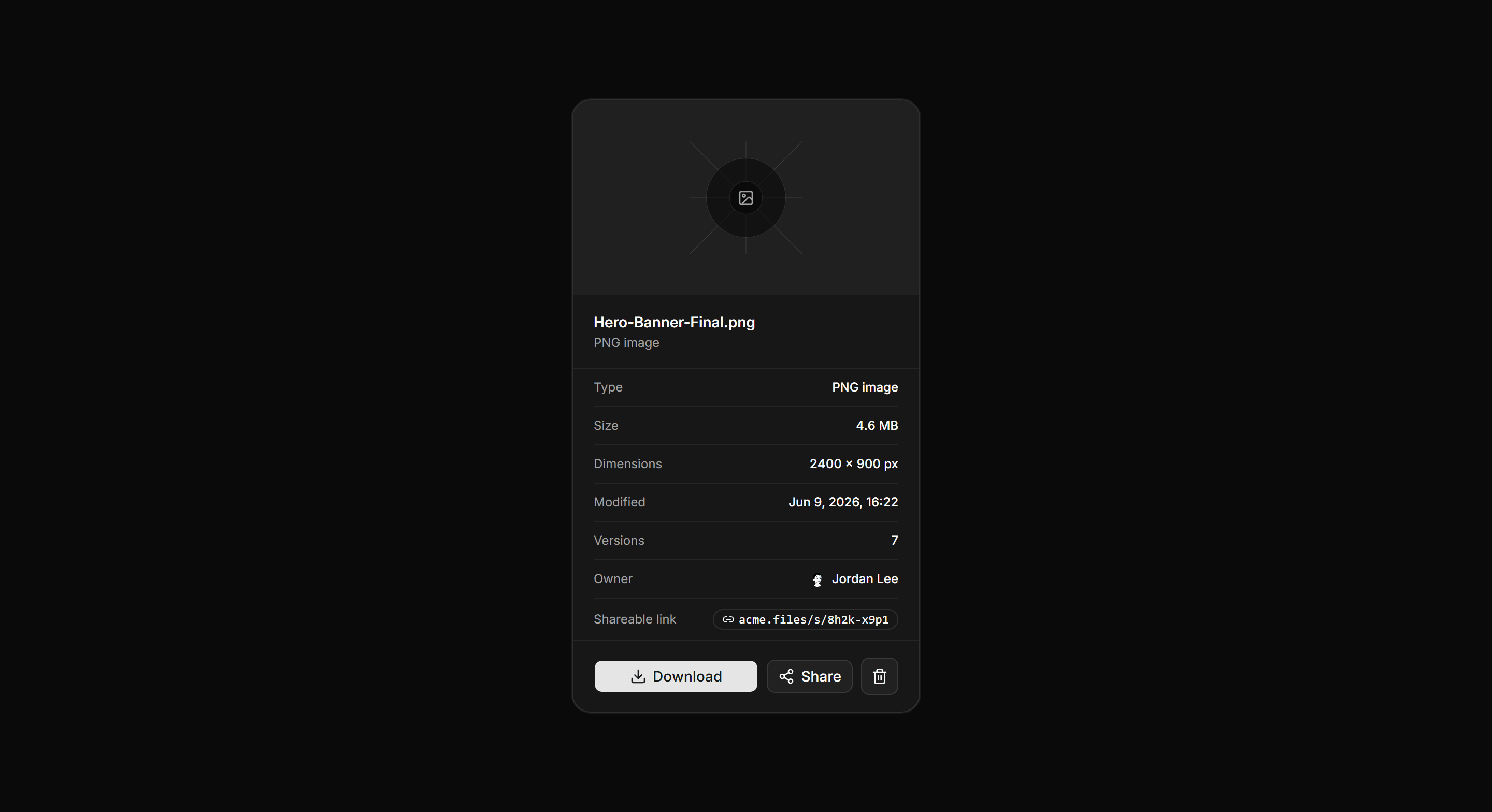 Application File Manager: File Detail Panel
