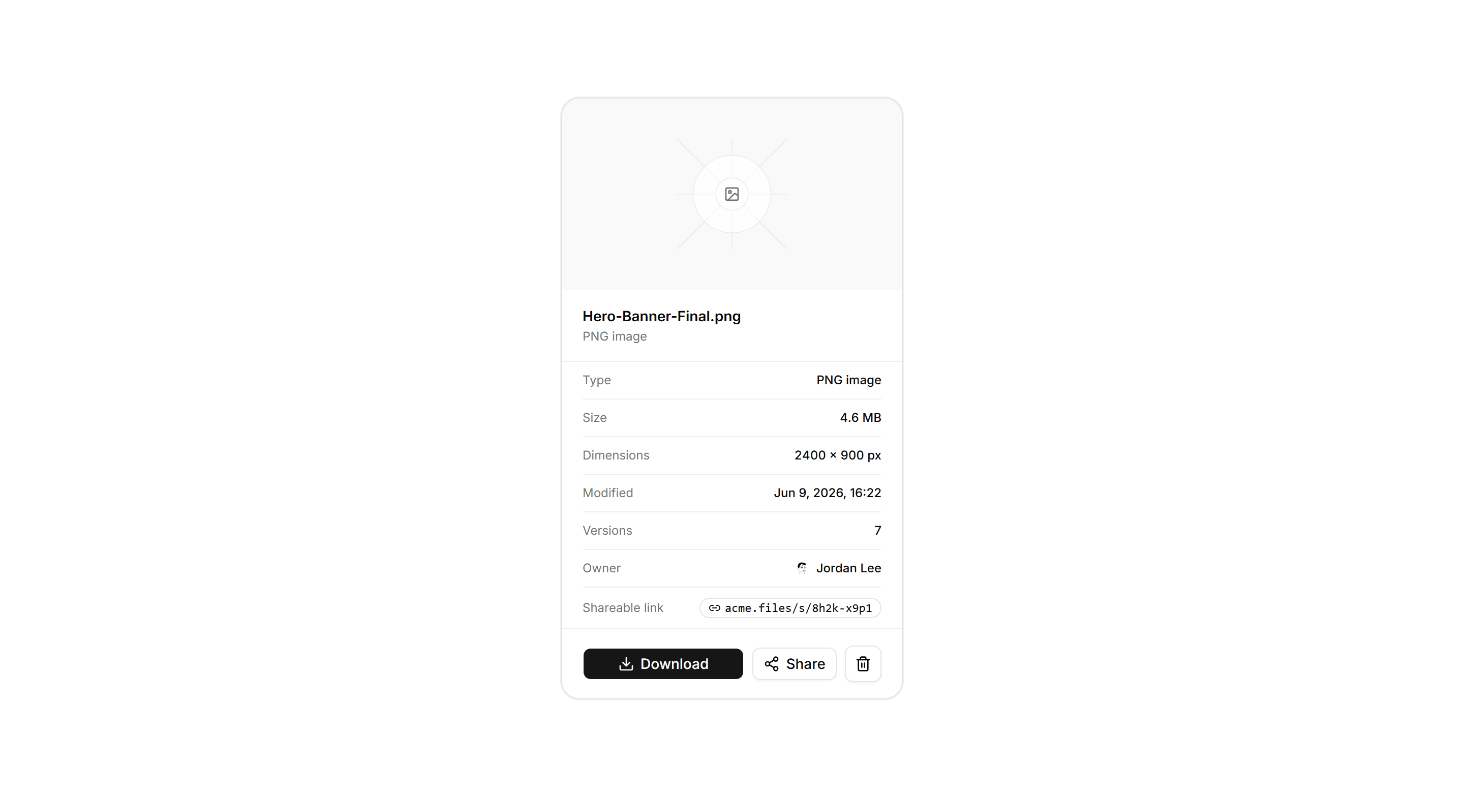 Application File Manager: File Detail Panel