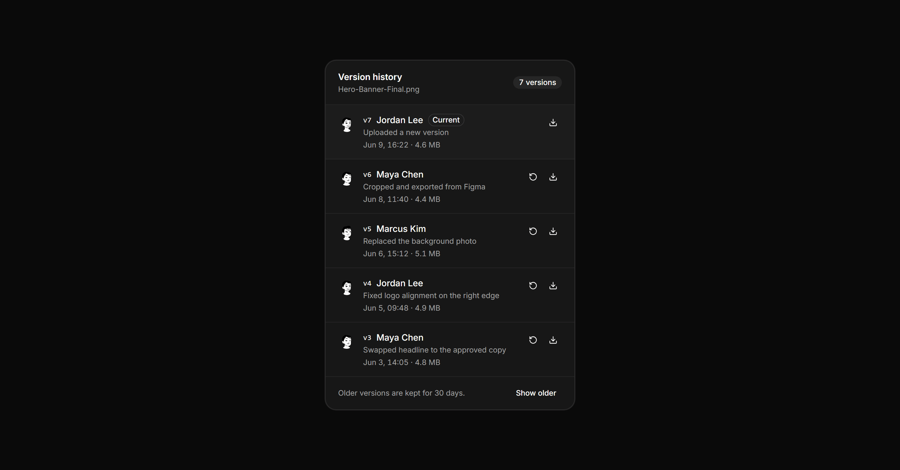 Application File Manager: File Version History