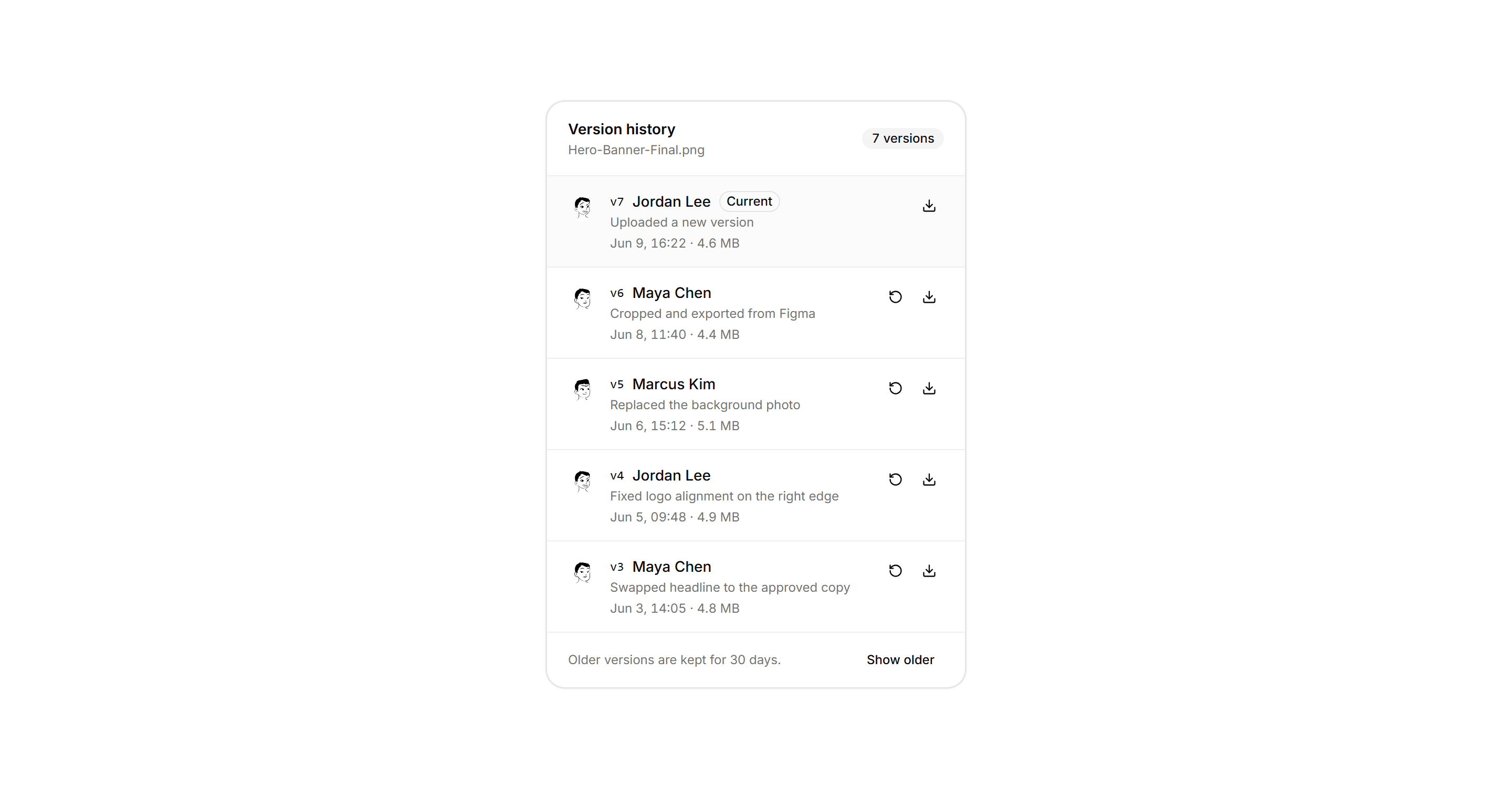 Application File Manager: File Version History