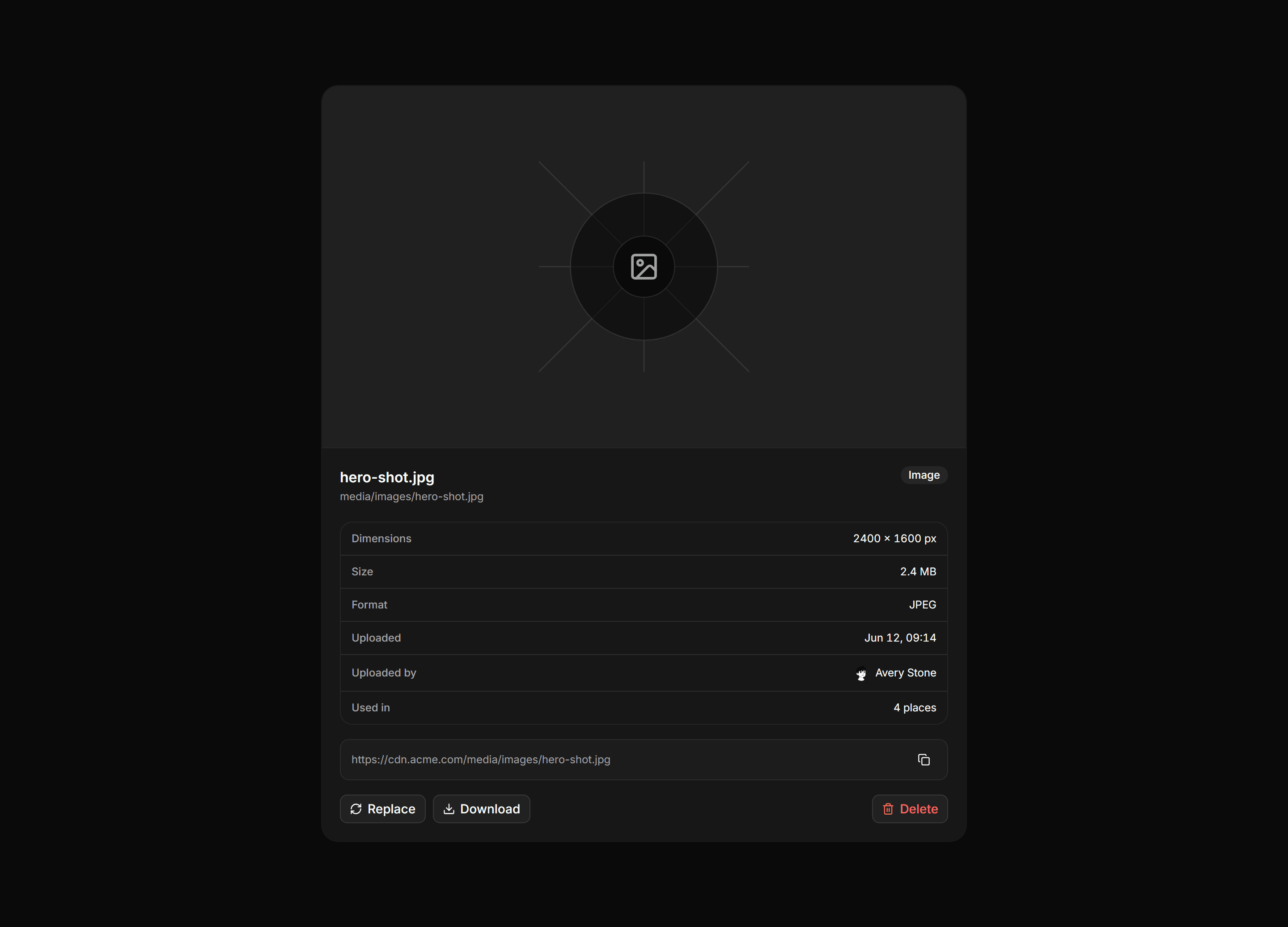 Application Media and Gallery: Asset Detail Panel