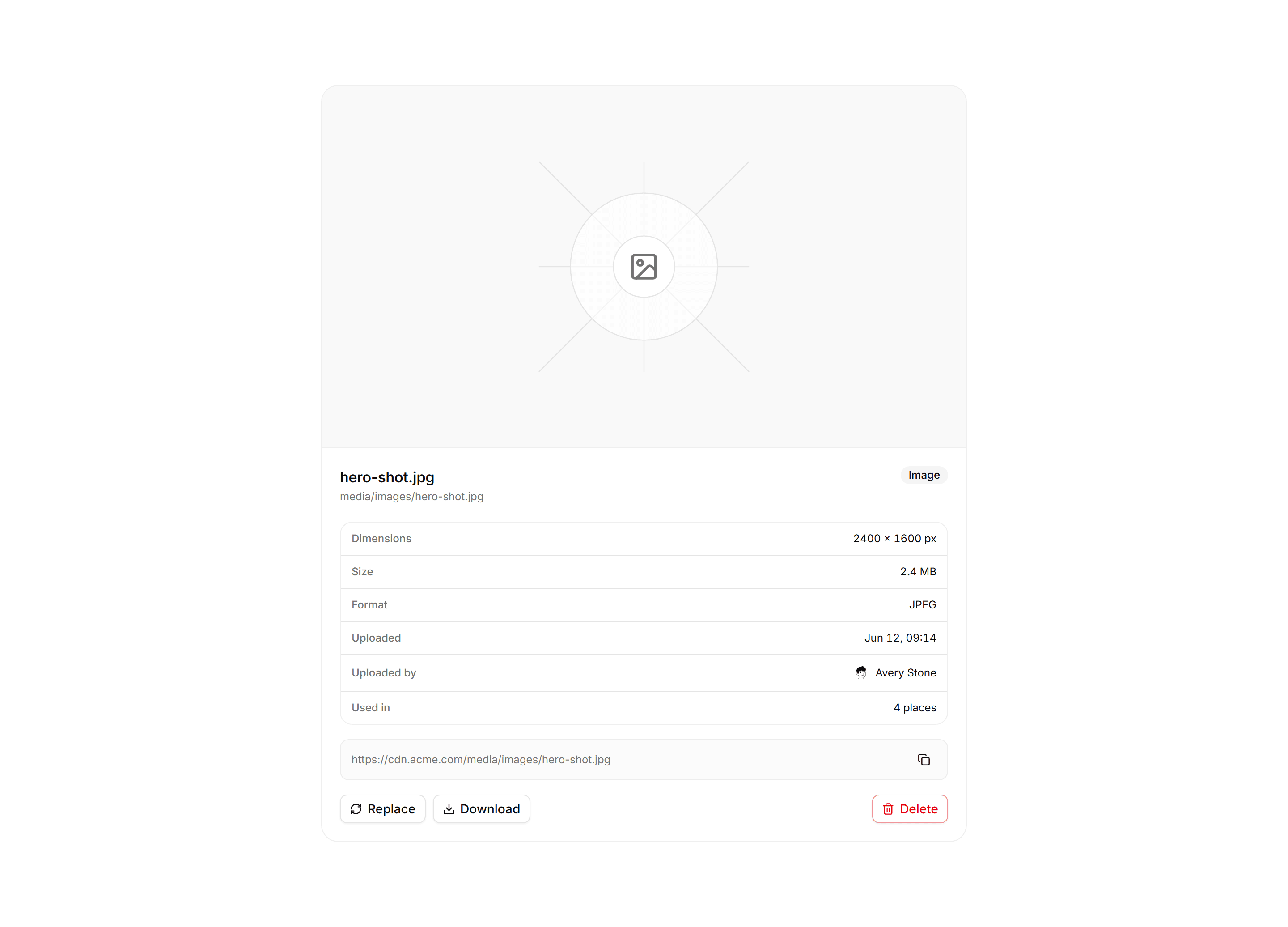 Application Media and Gallery: Asset Detail Panel