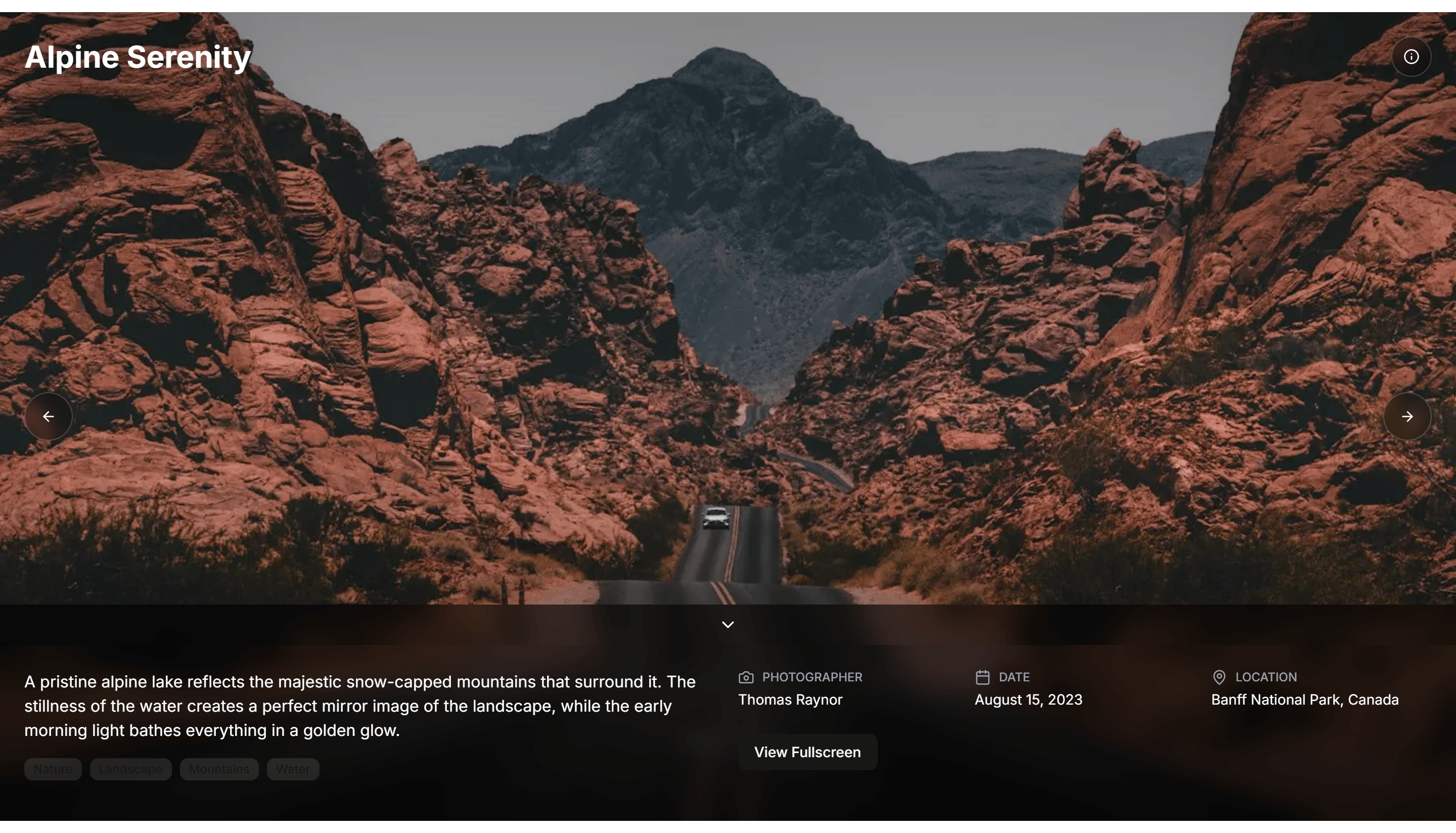 Marketing Gallery: Immersive Gallery