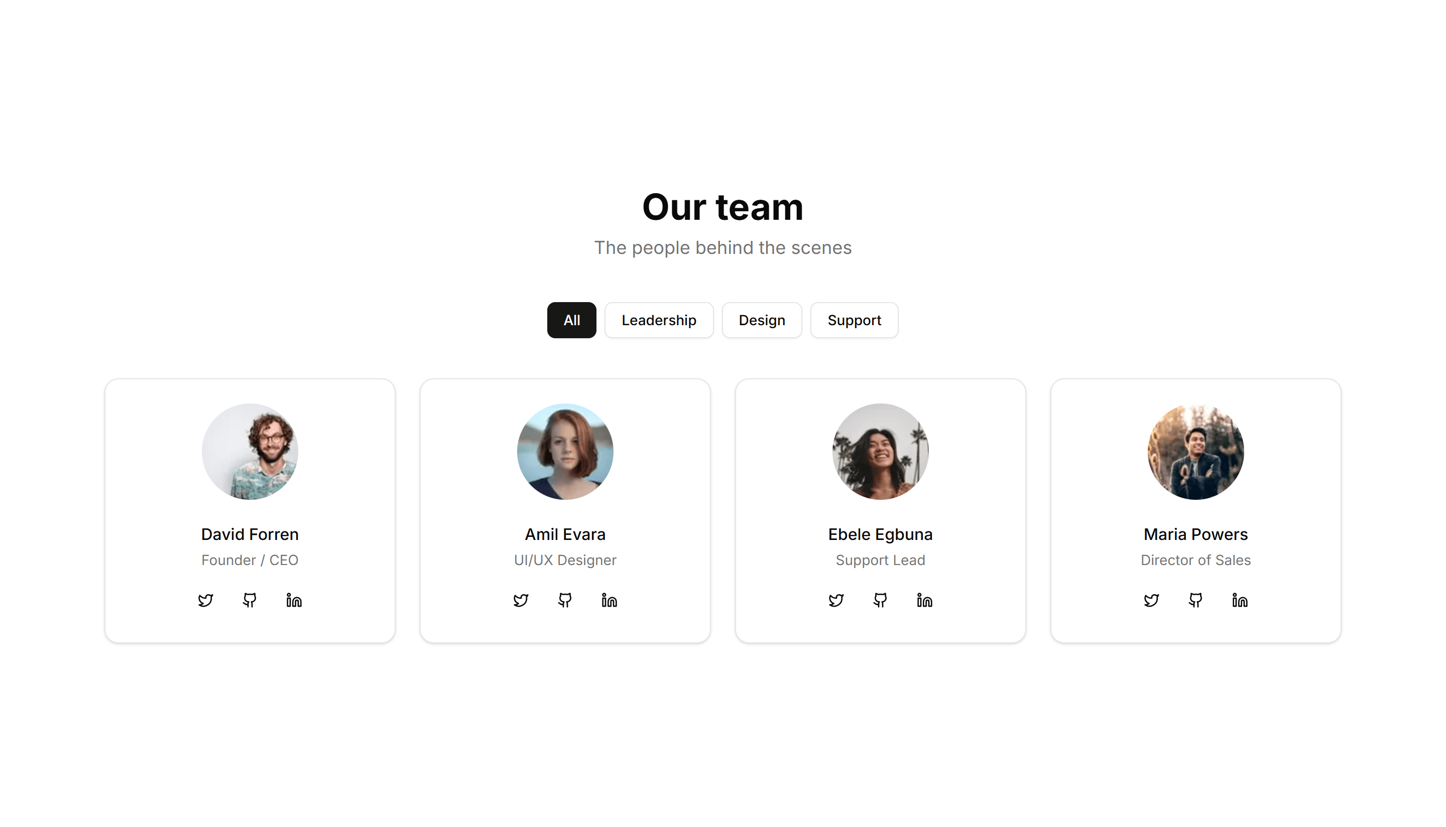 Marketing Team Section: With Filters