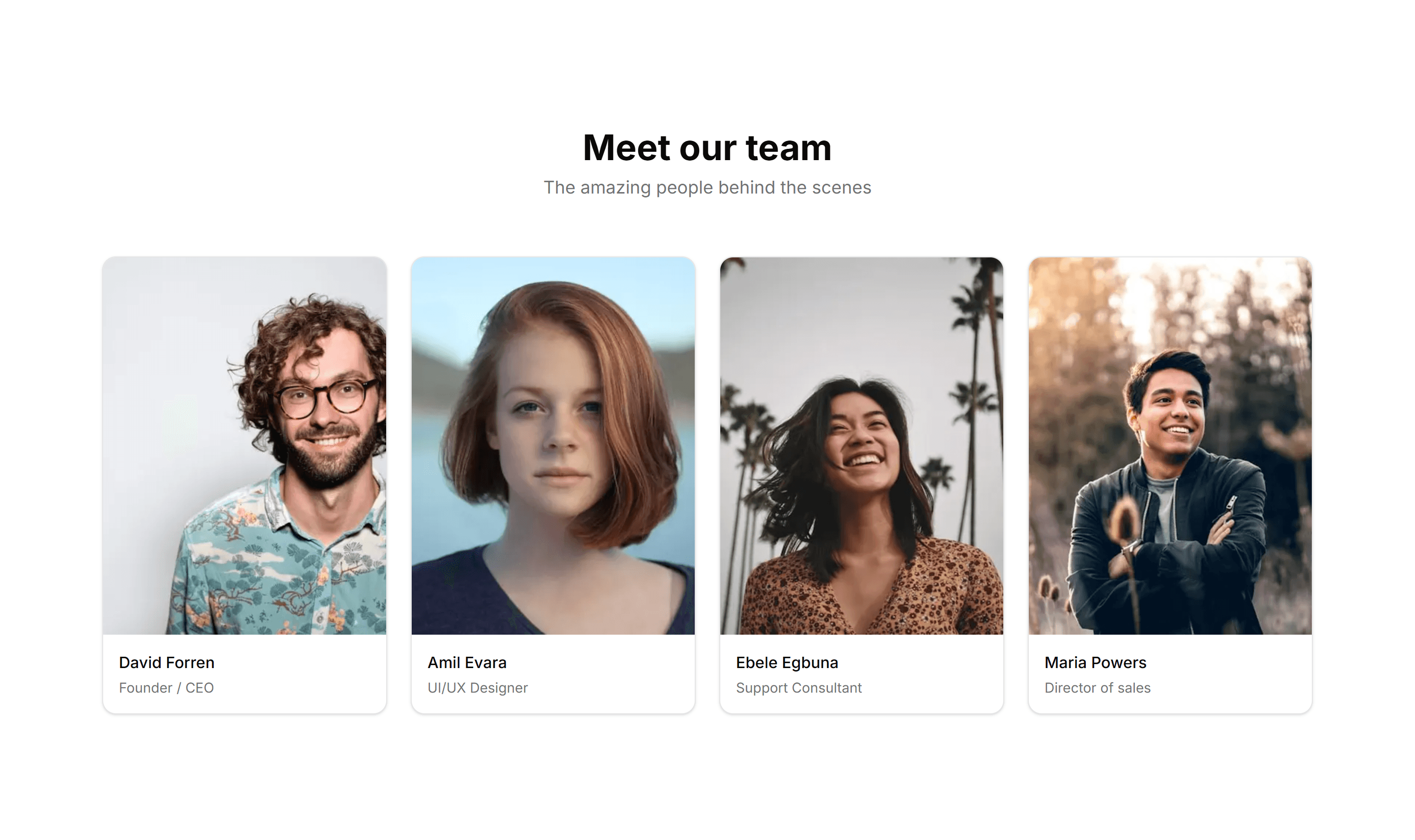Marketing Team Section: With Hover Cards