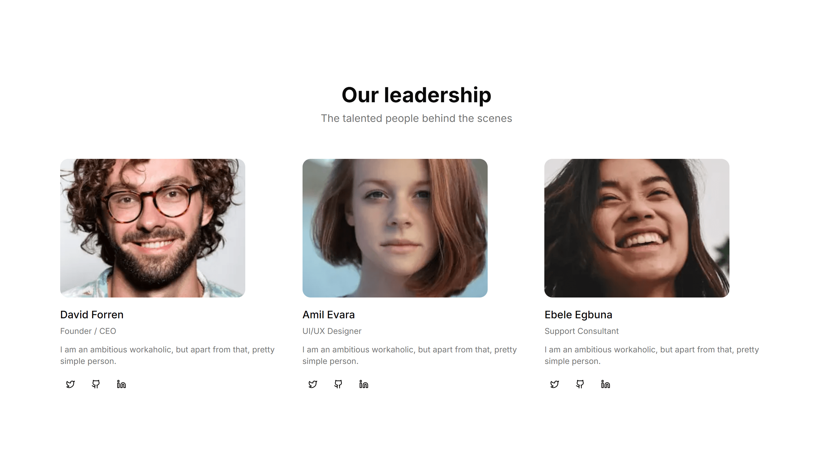 Marketing Team Section: With Large Images