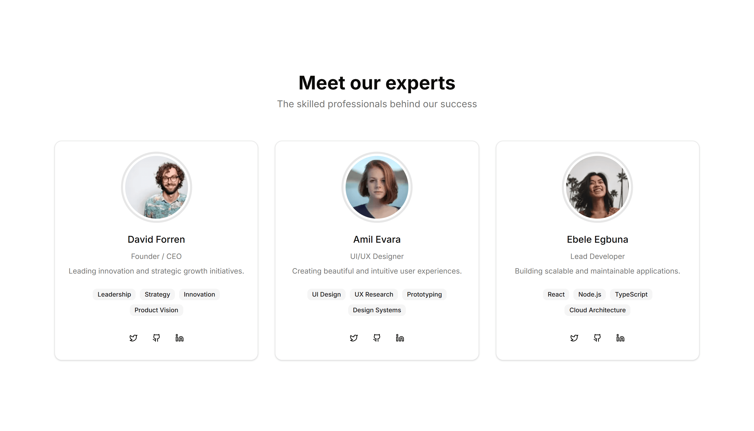 Marketing Team Section: With Skill Badges