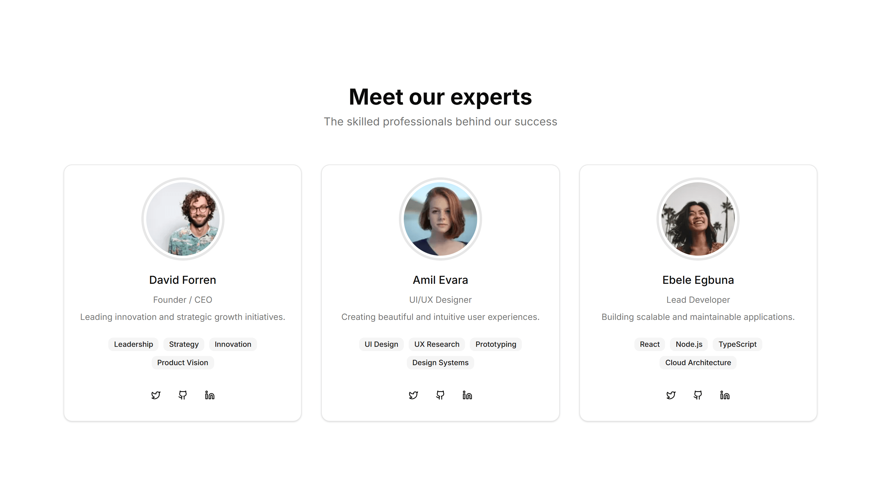 Marketing Team Section: With Skill Badges